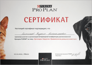 certificate_46_Kotikov