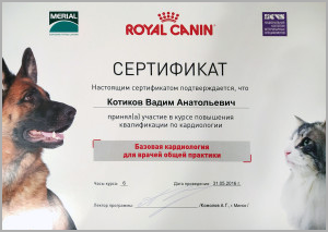 certificate_47_Kotikov