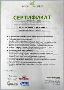 certificate_48_Kotikov