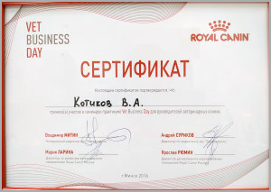 certificate_49_Kotikov
