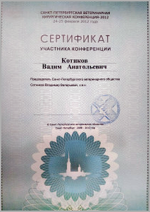 certificate_50_Kotikov