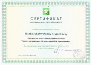 certificate_66_Vilkickij