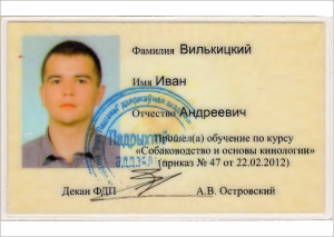 certificate_68_Vilkickij