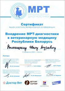 certificate_69_Vilkickij