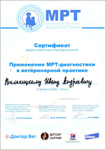 certificate_70_Vilkickij
