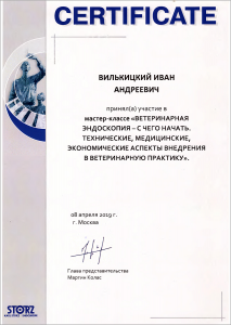 certificate_71_Vilkickij