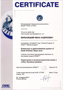 certificate_72_Vilkickij