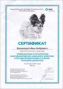 certificate_75_Vilkickij