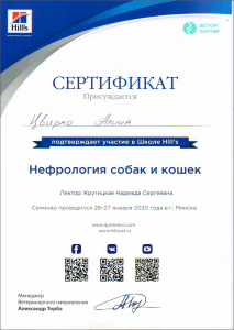 certificate_99_Cvirko
