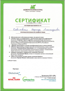certificate_92_Kovalevskaya