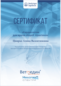 certificate_101_Cvirko
