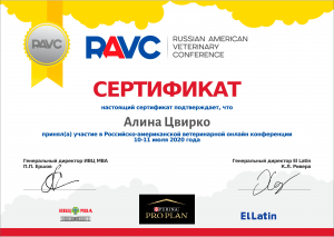 certificate_103_Cvirko