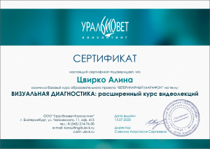 certificate_106_Cvirko