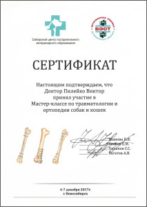 certificate_86_Pileiko