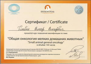 certificate_87_Pileiko