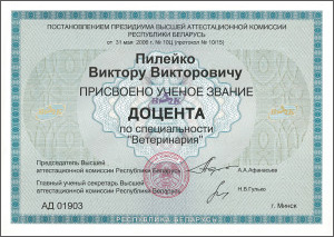 certificate_88_Pileiko