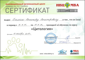 certificate_89_Pileiko