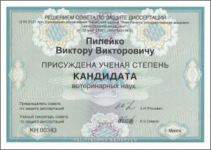 certificate_90_Pileiko
