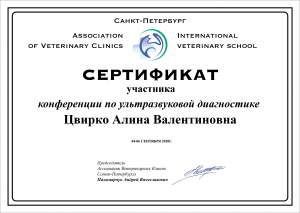 certificate_104_Cvirko