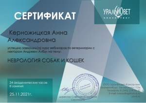 certificate_1_Kernozhitskaja