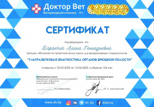Баранчик - узи органов брюшной полости
