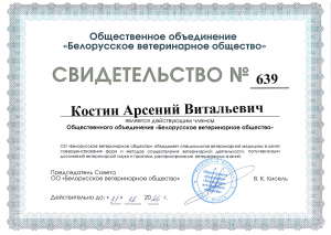 Костин А.В. - БВО (2026)