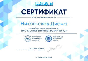 Никольская- Белорусский наци форум - март 25