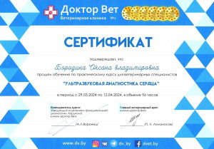 Бородина - ультразвуковая диагностика сердца