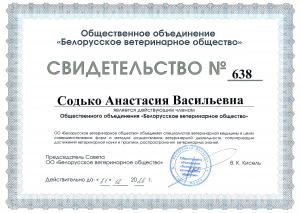 Содько А.В. - БВО (2026)