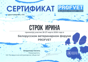 Сертификат Строк И.А. - Profvet (26-27.03.26)