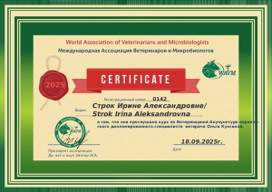 Сертификат по Акупунктуре Строк И.А.18.09.25