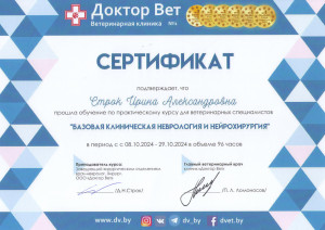 Строк Ирина - базовая неврология и нейрохирургия