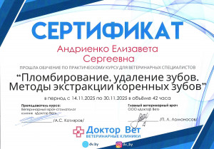 Андриенко - пломбирование и удаление зубов. методы экстракции