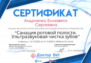 Андриенко - санация ротовой полости. ультразвуковая чистка зубов