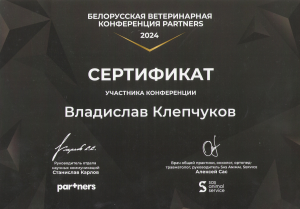 Клепчуков - Partners 2024