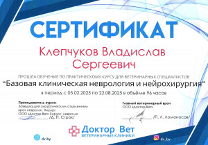 Клепчуков - базовая клиническая неврология и нейрохирургия
