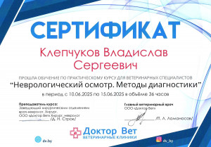 Клепчуков - неврологический осмотр. Методы диагностики