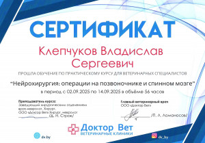 Клепчуков - операция на позвоночнике и спинном мозгу