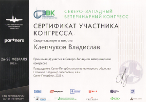 Клепчуков-северо-зап-конгресс-26 28-02-25