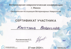 %u041A%u043B%u0435%u043F%u0447%u0443%u043A%u043E%u0432-%u0432%u0435%u0442 %u043D%u0435%u0432%u0440%u043E%u043B%u043E%u0433%u0438%u0447%u0435%u0441%u043A%u0430%u044F %u043A%u043E%u043D%u0444%u0435%u0440%u0435%u043D%u0446%u0438%u044F 27-05-24