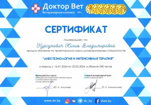Курсунович - анестезиология и интенсивная терапия