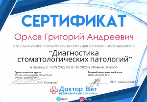 Орлов - диагностика стоматологических патологий