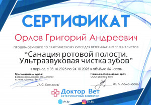 Орлов - ссанация ротовой полостик. ультразвуковая чистка зубов