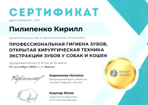 Пилипенко - Проф-гигиена-зубов (19 сентября 25)