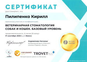 Пилипенко - Ветеринарная стоматология.База (17 сентября 25)