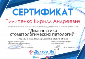 Пилипенко - диагностика стоматологических заболеваний