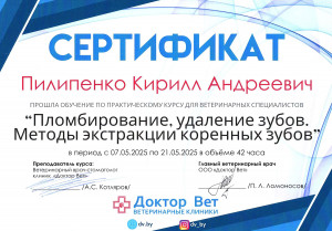 Пилипенко - пломбирование и удаление зубов.методы экстракции