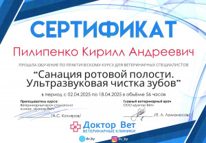 Пилипенко - санация ротовой полости. ультразвуковая чистка зубов