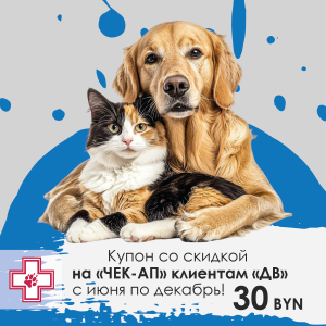 Акция июнь-декабрь 25-1