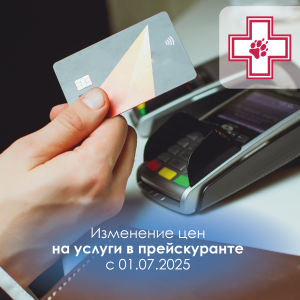 Новости июнь 25 (Изменение цен)_Монтажная область 1
